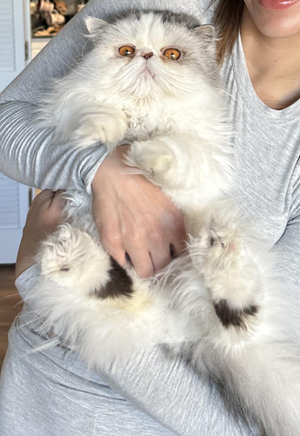 Sophie M. ✅