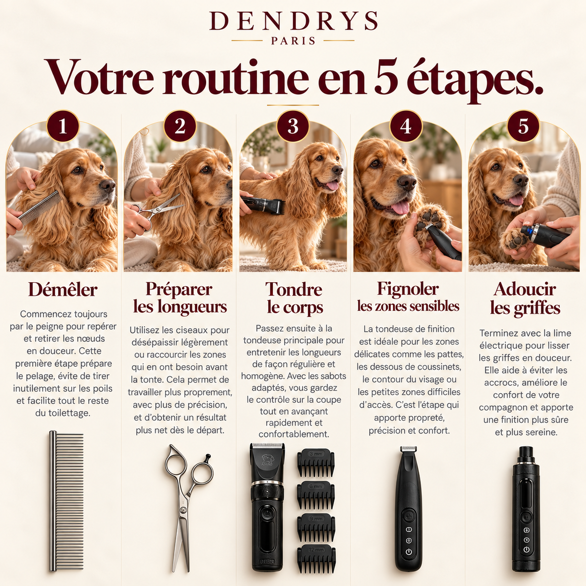 Kit de Toilettage Complet DENDRYS™