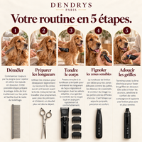 Kit de Toilettage Complet DENDRYS™
