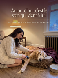 Kit de Toilettage Complet DENDRYS™