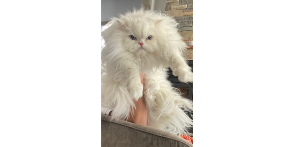 Louise